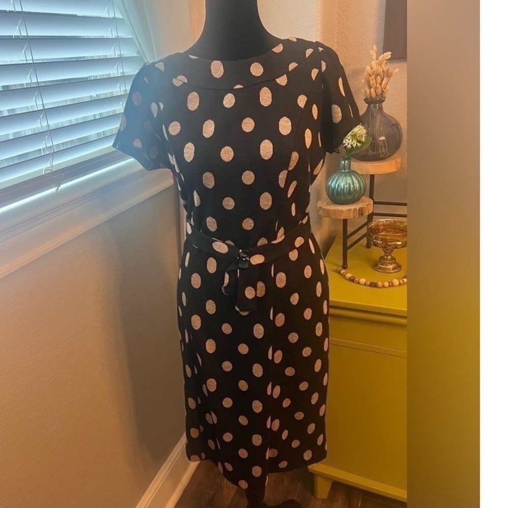 AB studio polka dot belted short sleeve‎ dress. Black and brown. L. Career Chic